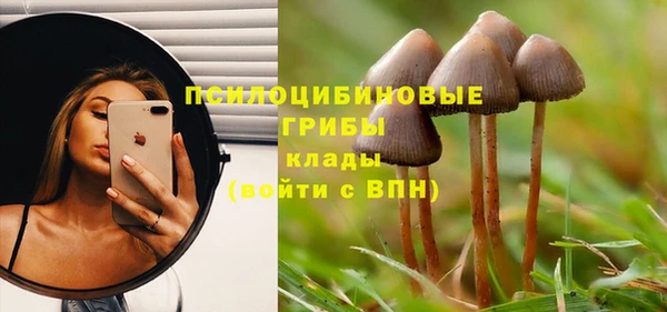 МДМА Ельня
