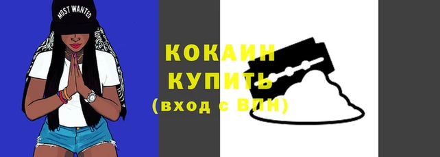 метадон Елизово