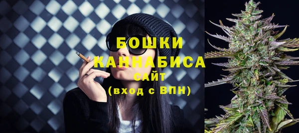 метадон Елизово