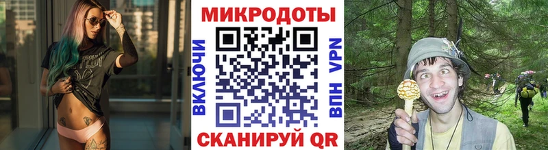 Купить закладки  Раменское  Псилоцибиновые грибы MAGIC MUSHROOMS 